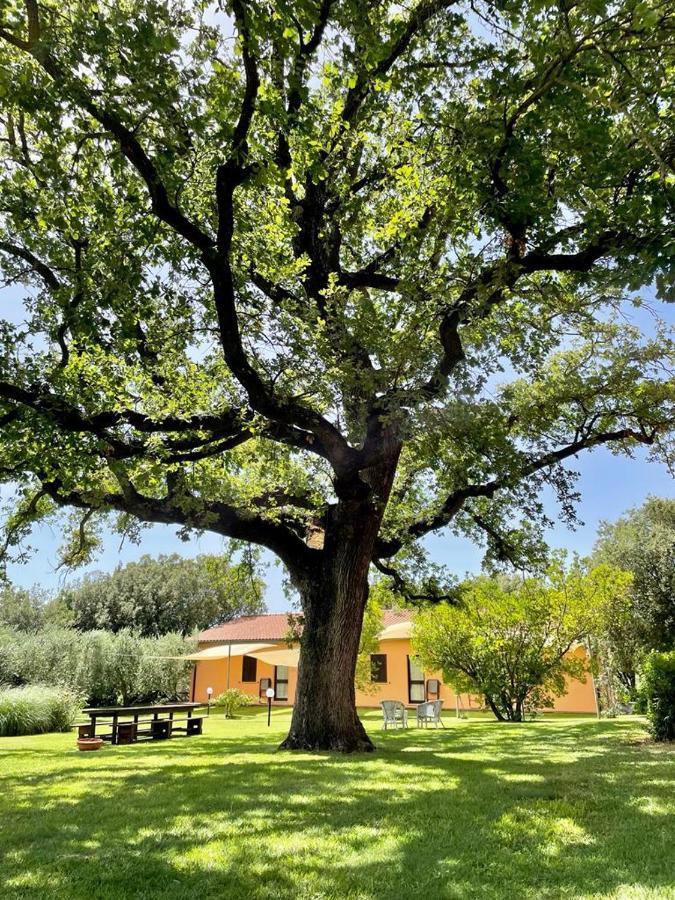 Agriturismo I Tre Fossi Magliano in Toscana Εξωτερικό φωτογραφία