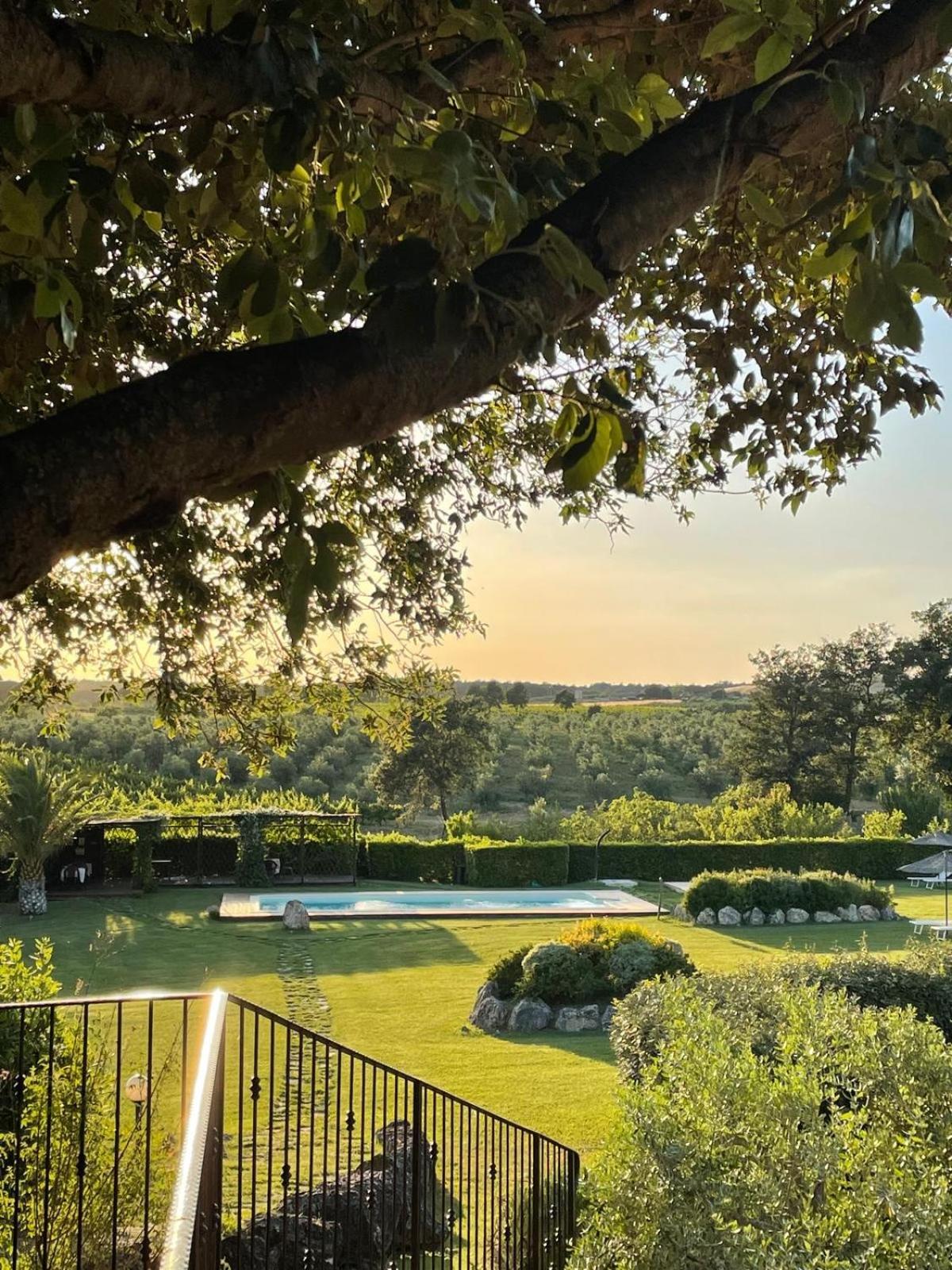 Agriturismo I Tre Fossi Magliano in Toscana Εξωτερικό φωτογραφία