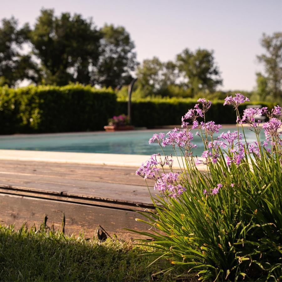 Agriturismo I Tre Fossi Magliano in Toscana Εξωτερικό φωτογραφία