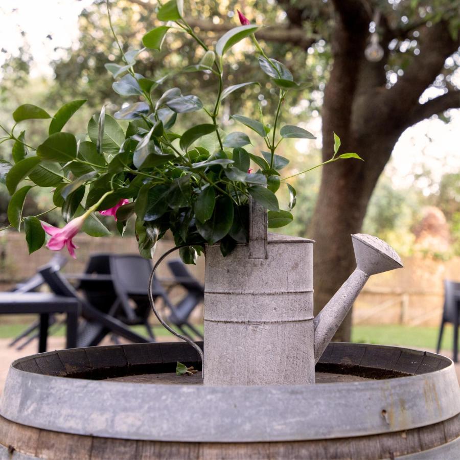 Agriturismo I Tre Fossi Magliano in Toscana Εξωτερικό φωτογραφία